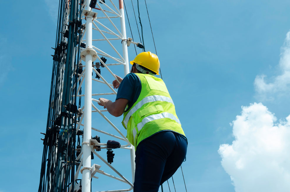 Telecom professional servicing a field tower